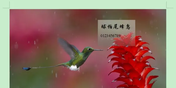 publisher文档 publisher是什么软件-第9张图片-科技快讯