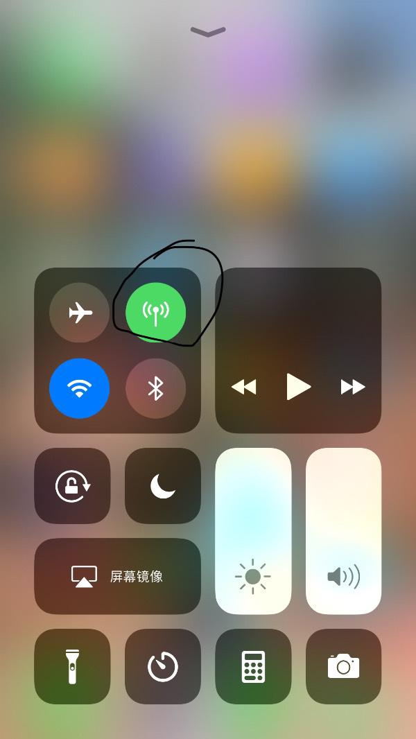 苹果手机流量开关怎么控制(苹果手机怎么调流量开关)-第10张图片-科技快讯 苹果手机流量开关怎么控制(苹果手机怎么调流量开关)-第10张图片-科技快讯