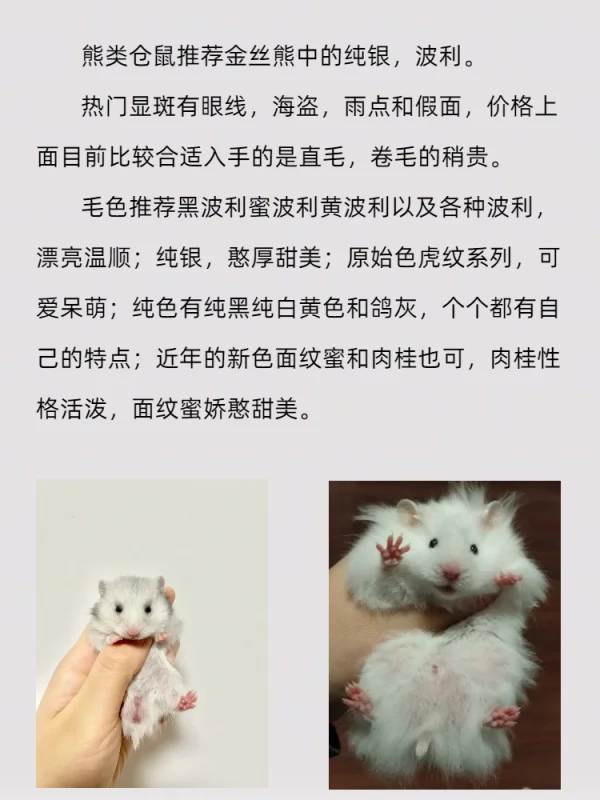 1000多手机有什么推荐(1000出头的手机推荐)-第10张图片-科技快讯 1000多手机有什么推荐(1000出头的手机推荐)-第10张图片-科技快讯
