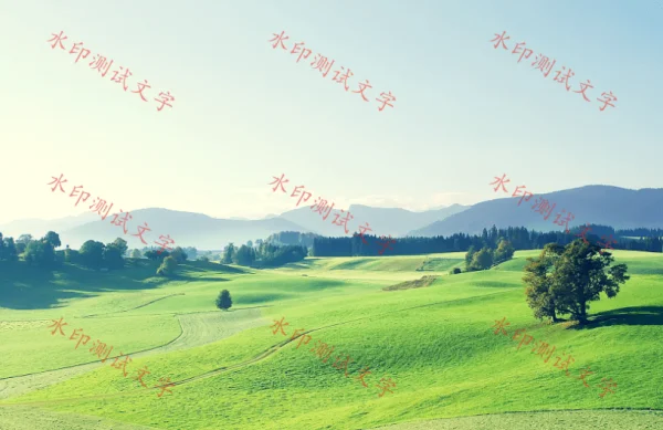 水印相机怎么批量加水印(acd怎么批量加水印)-第9张图片-科技快讯 水印相机怎么批量加水印(acd怎么批量加水印)-第9张图片-科技快讯