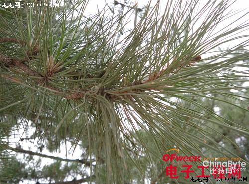 小米4与小米note哪个好-对比评测如下-第46张图片-科技快讯