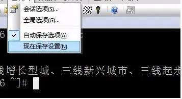 securecrt 英文乱码(securecrt怎么解决中文乱码)-第10张图片-科技快讯