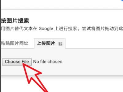 google看图识人在哪-第9张图片-科技快讯 google看图识人在哪-第9张图片-科技快讯