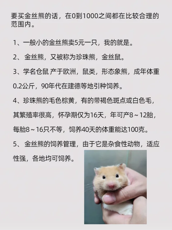 1000多手机有什么推荐(1000出头的手机推荐)-第8张图片-科技快讯 1000多手机有什么推荐(1000出头的手机推荐)-第8张图片-科技快讯