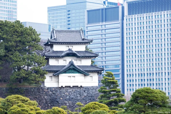 外国人永久居留证有什么用(外国人永久居留证待遇是什么样的)-第5张图片-科技快讯 外国人永久居留证有什么用(外国人永久居留证待遇是什么样的)-第5张图片-科技快讯