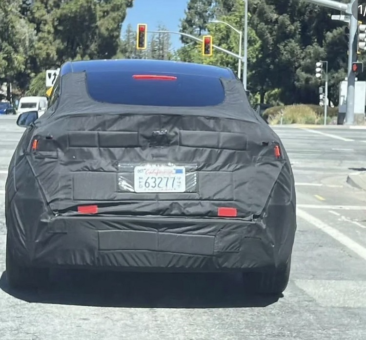 续航超800km，采用贯穿式尾灯！特斯拉新款Model Y高清谍照曝光-第1张图片-科技快讯