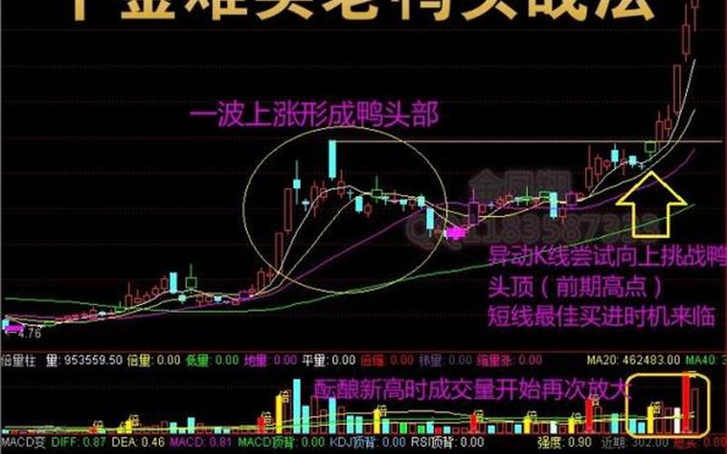 股票中的老鸭头形态特征-第1张图片-金银屋