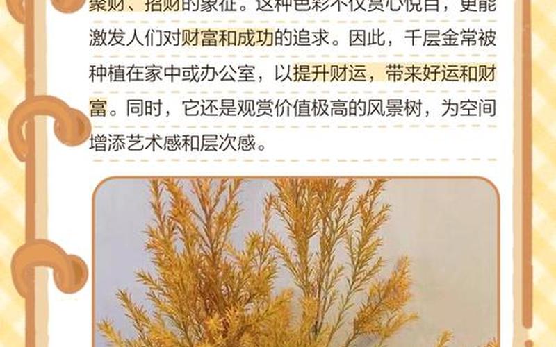 配资平台:千层金-第1张图片-金银屋 配资平台:千层金-第1张图片-金银屋