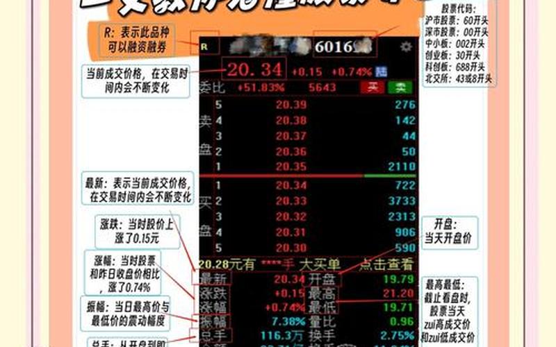 新手入门股市-第1张图片-金银屋