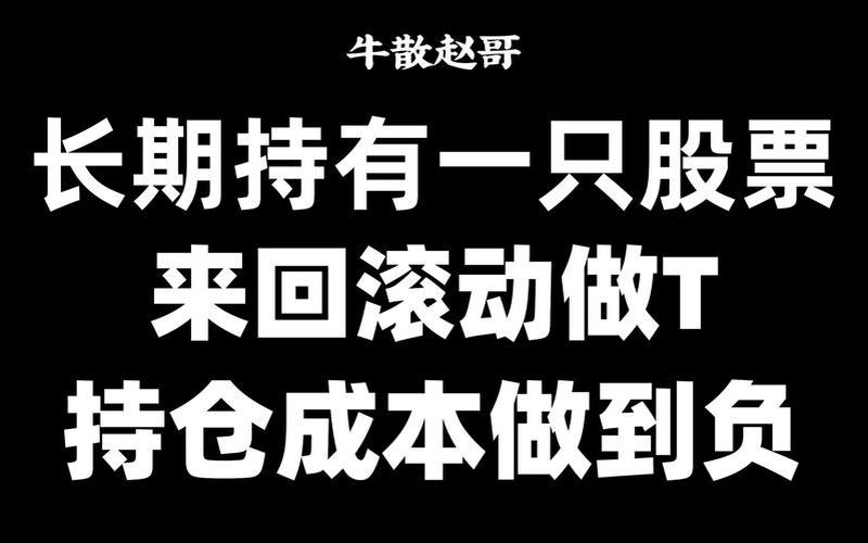 长期持有一只股票配资（长期持有一只股票配资做T）-第1张图片-金银屋