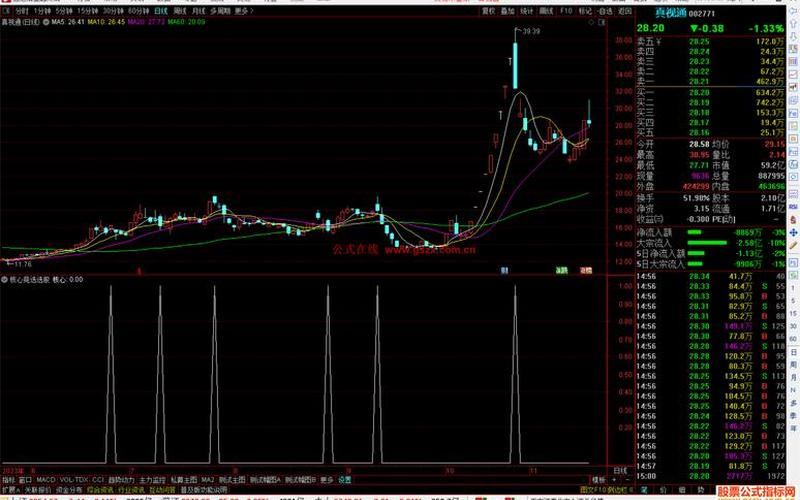 炒股配资票配资选股方法-第1张图片-金银屋