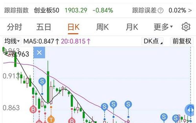 创业板股票配资一览（注册制创业板股票配资一览）-第1张图片-金银屋