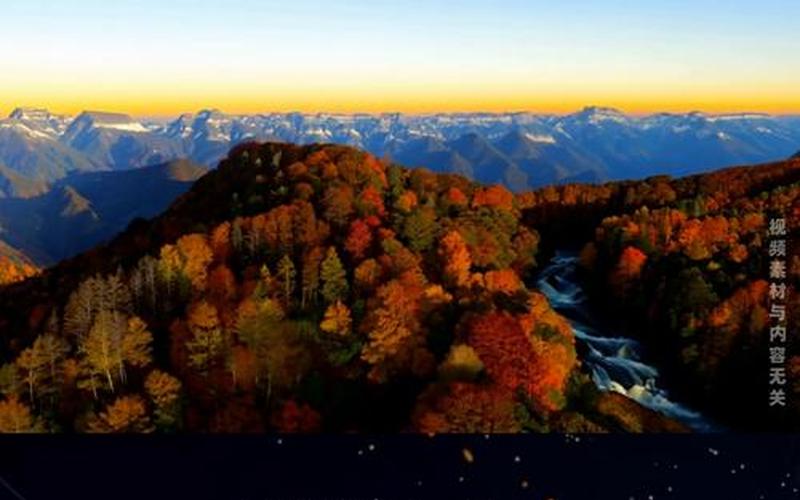 香山股份股票配资行情-第1张图片-金银屋 香山股份股票配资行情-第1张图片-金银屋