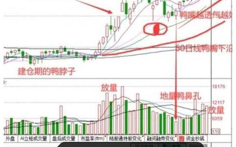 老鸭头选股公式（强势老鸭头选股公式）-第1张图片-金银屋
