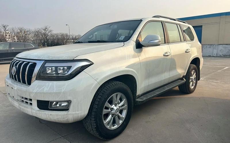 中国恒天，中国恒天L4600-第1张图片-金银屋