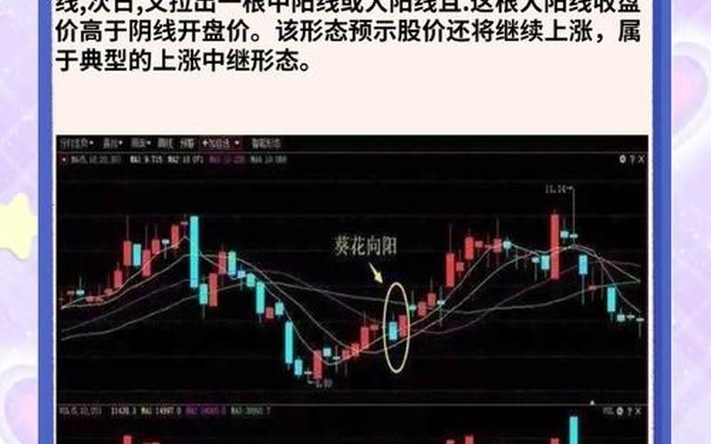 强势股票的选股-第1张图片-金银屋