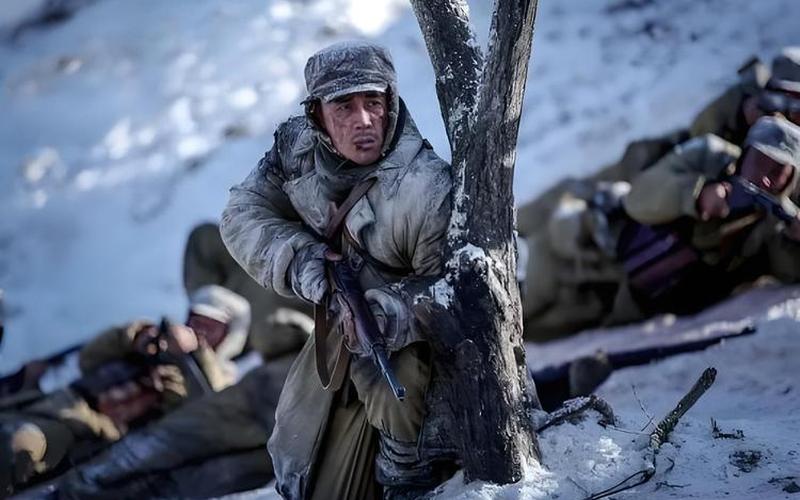 股市陷阵营营长-第1张图片-金银屋