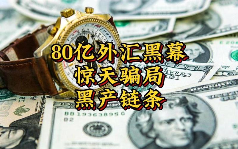 大的外汇平台最大的外汇平台：谁在幕后操控着全球资金的脉动-第1张图片-金银屋