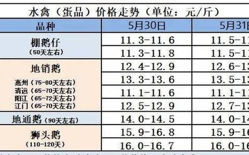 鸭种蛋配资炒股行情-第1张图片-金银屋