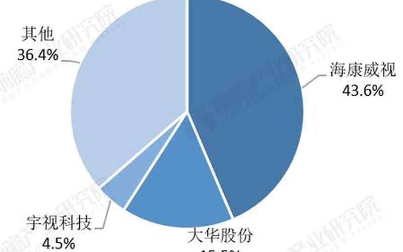 大华股份市场占有率-第1张图片-金银屋 大华股份市场占有率-第1张图片-金银屋