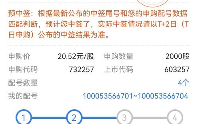 娜雯博客新股（新股中签号）-第1张图片-金银屋
