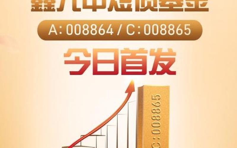 鑫元中短债债券C 日日鑫中短债A-第1张图片-金银屋