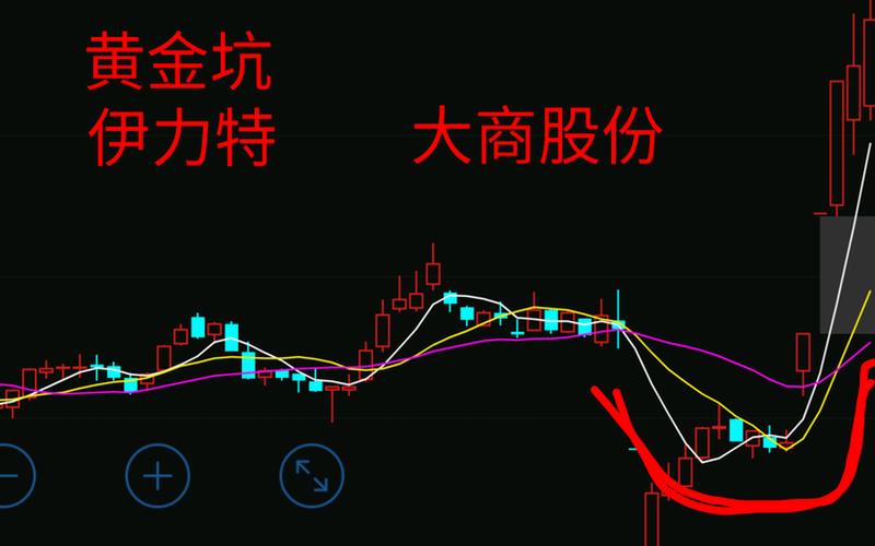 大商股份的股息收益率，大商股份什么时候分红-第1张图片-金银屋