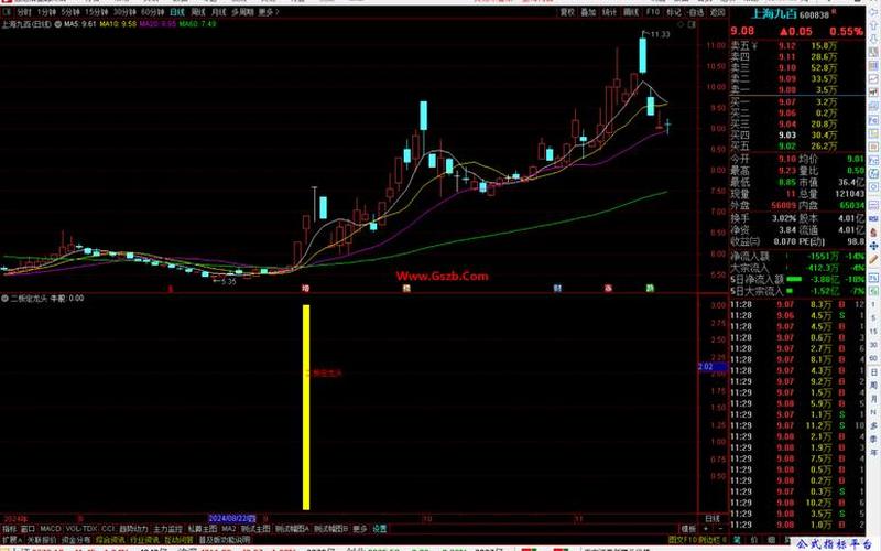 新三板股票龙头-第1张图片-金银屋 新三板股票龙头-第1张图片-金银屋