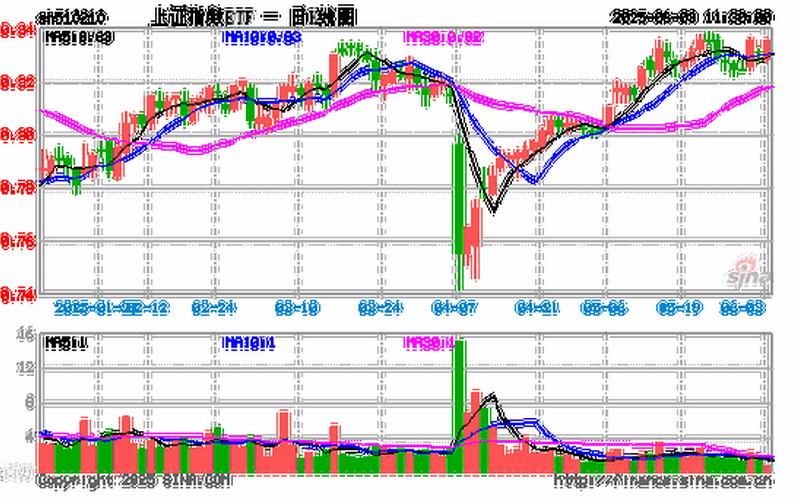 美国股息增长指数ETF股票成交额,美国股息增长指数ETF股票成交额怎么算-第1张图片-金银屋 美国股息增长指数ETF股票成交额,美国股息增长指数ETF股票成交额怎么算-第1张图片-金银屋
