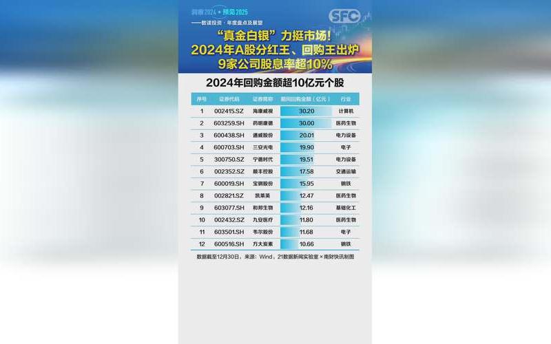 股票股息分红最多，股票股息分红最多的公司-第1张图片-金银屋