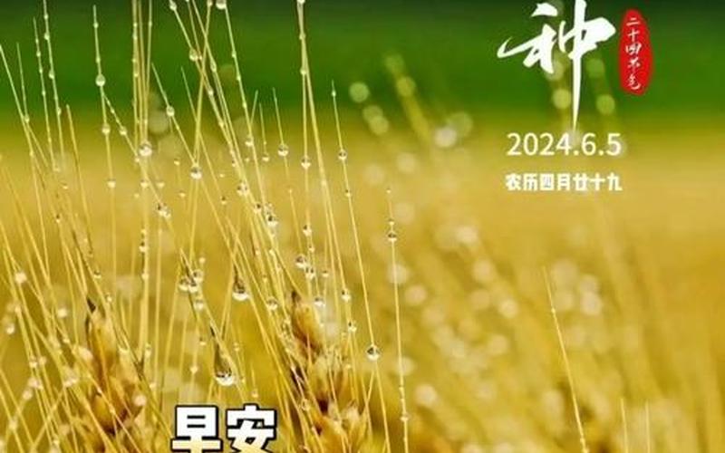 春耕时间，春耕时间芒种-第1张图片-金银屋