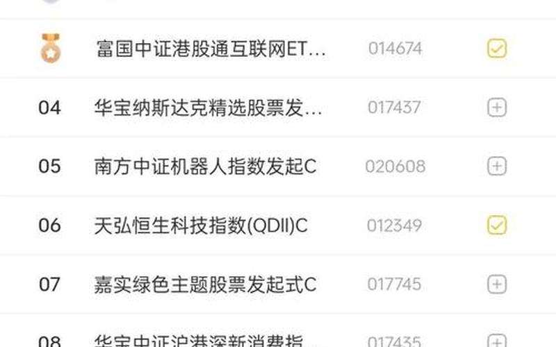 股指期货的基金 投资股指期货的基金-第1张图片-金银屋
