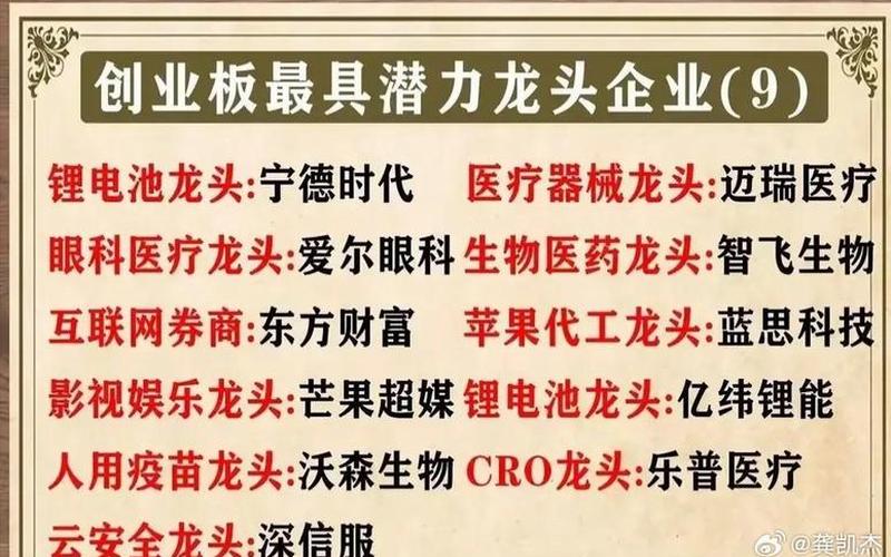 打新股和创业板（09创业板龙头股票）-第1张图片-金银屋