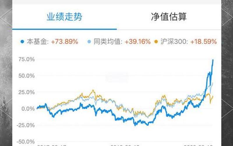 定投股票型基金排名-第1张图片-金银屋