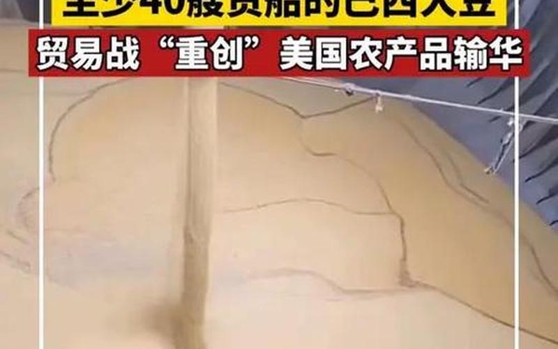 投资大豆股票，抓住中国买买买的机会-第1张图片-金银屋