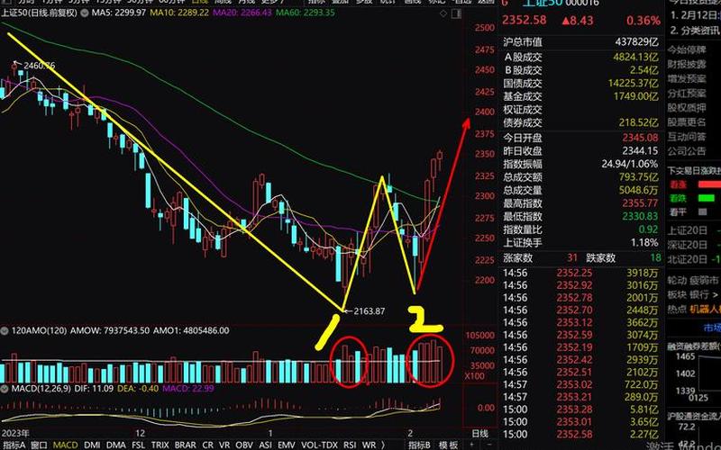 中国最准的股市行情预言家-第1张图片-金银屋