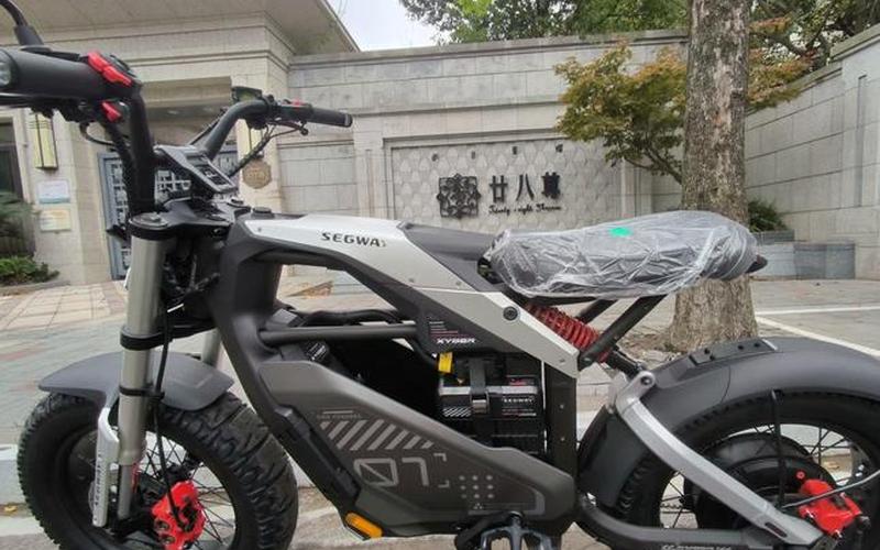 赛格威车,赛格威车标-第1张图片-金银屋 赛格威车,赛格威车标-第1张图片-金银屋