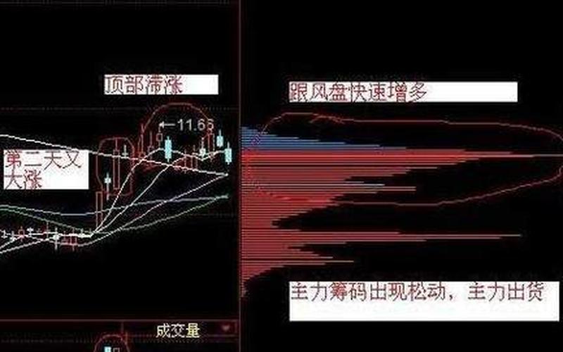 北大教授股市的秘密-第1张图片-金银屋