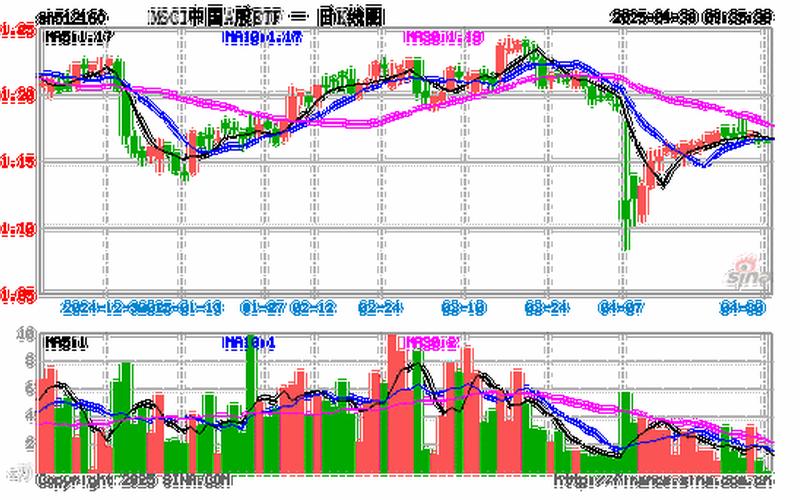 国家队触底反弹震惊A股，追赶MSCI A股指数-第1张图片-金银屋