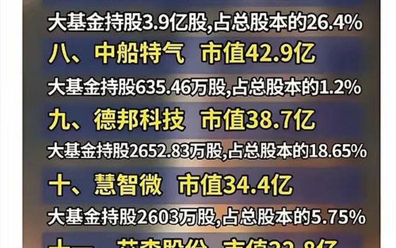 国家产业投资基金持有的股票-第1张图片-金银屋