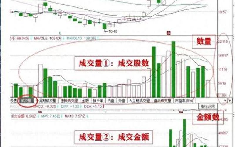 如何看A股一天的总成交量-第1张图片-金银屋