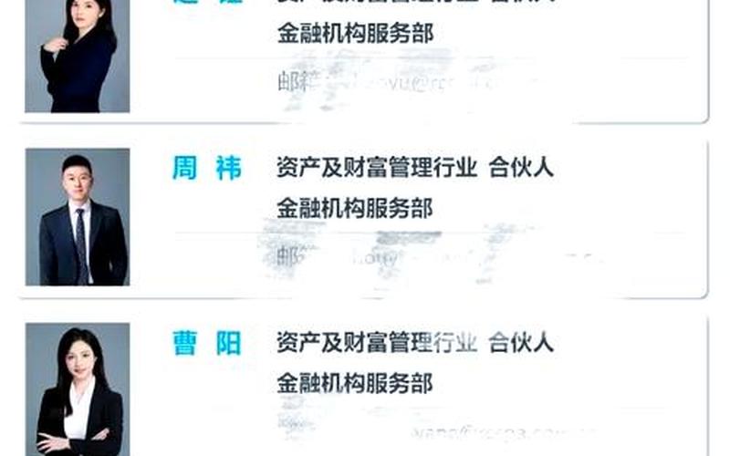 普华永道IPO家数（IPO会计师事务所排名）-第1张图片-金银屋
