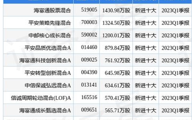 海富通股票混合型证券投资基金-第1张图片-金银屋