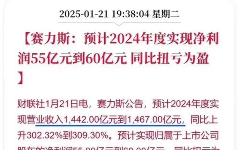 赛力斯股票配资行情-第1张图片-金银屋