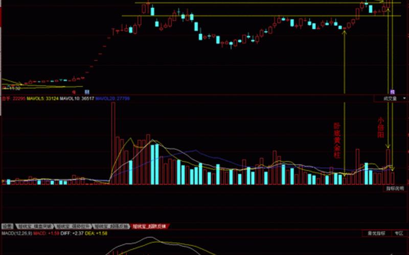 300109新开源配资炒股配资走势-第1张图片-金银屋