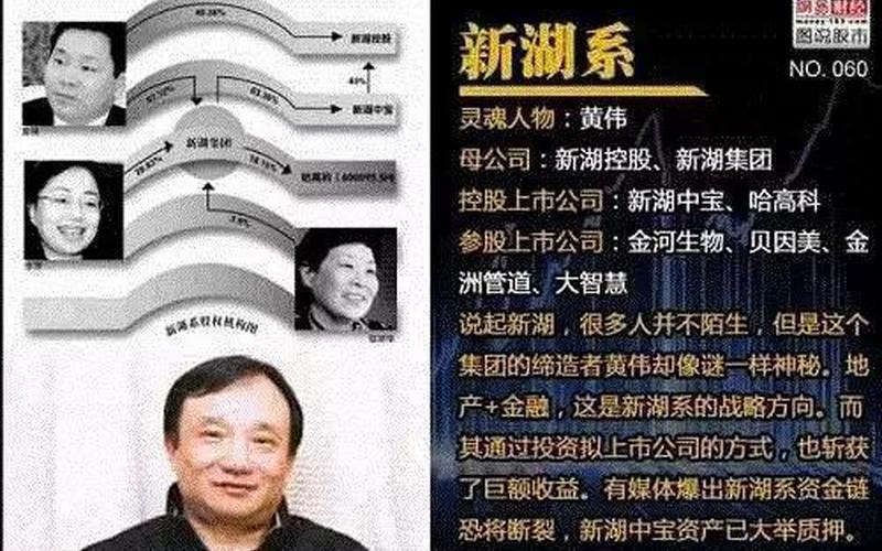 新湖中宝美元债-第1张图片-金银屋