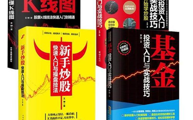 股票投资入门与实战技巧-第1张图片-金银屋