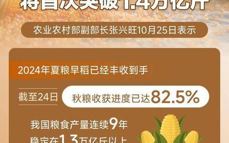 中国国家粮食股票配资行情-第1张图片-金银屋