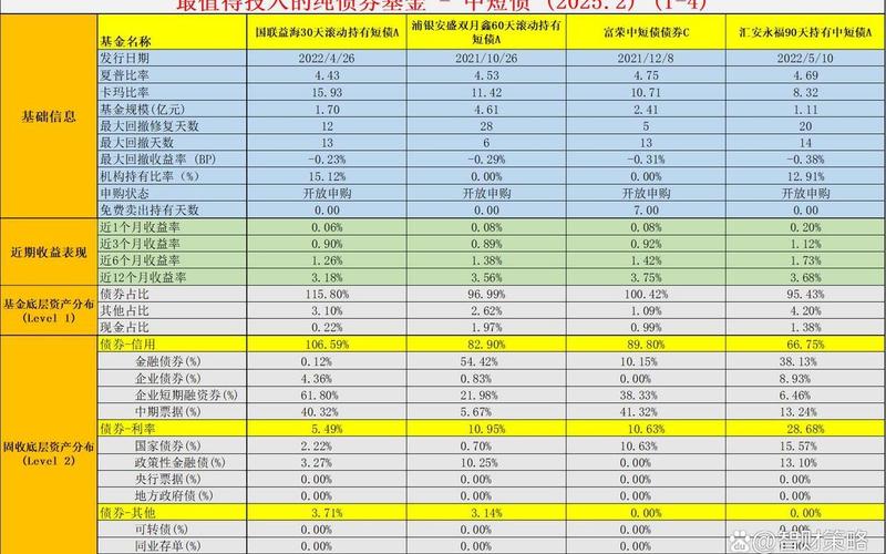 哪些纯债基金比较好-第1张图片-金银屋