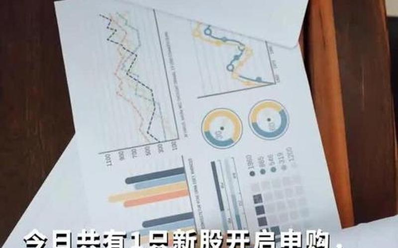 科创板股票申购-第1张图片-金银屋